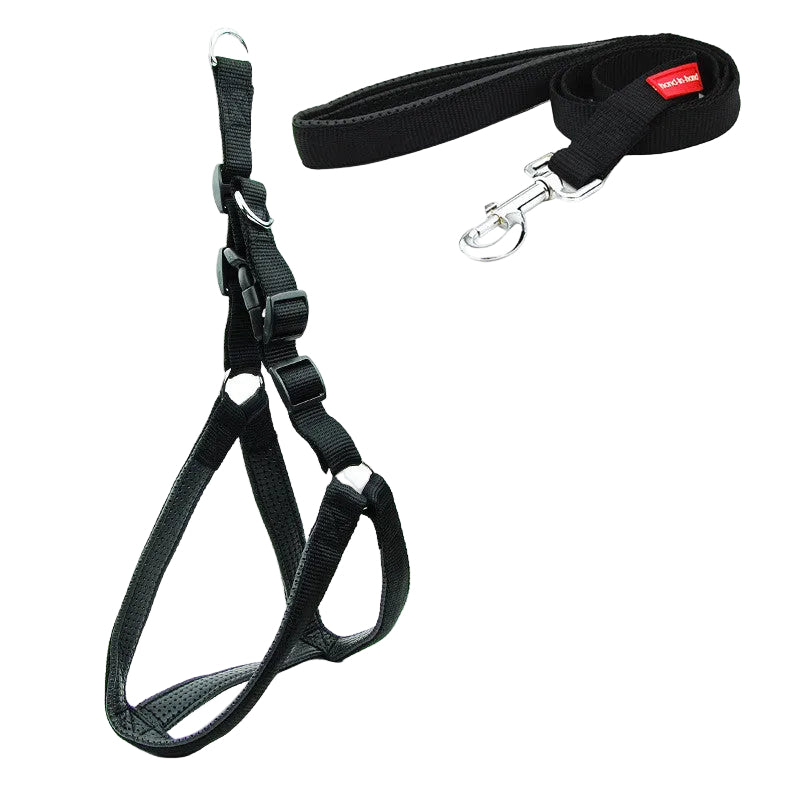 Black dog harness and leash set on a white background