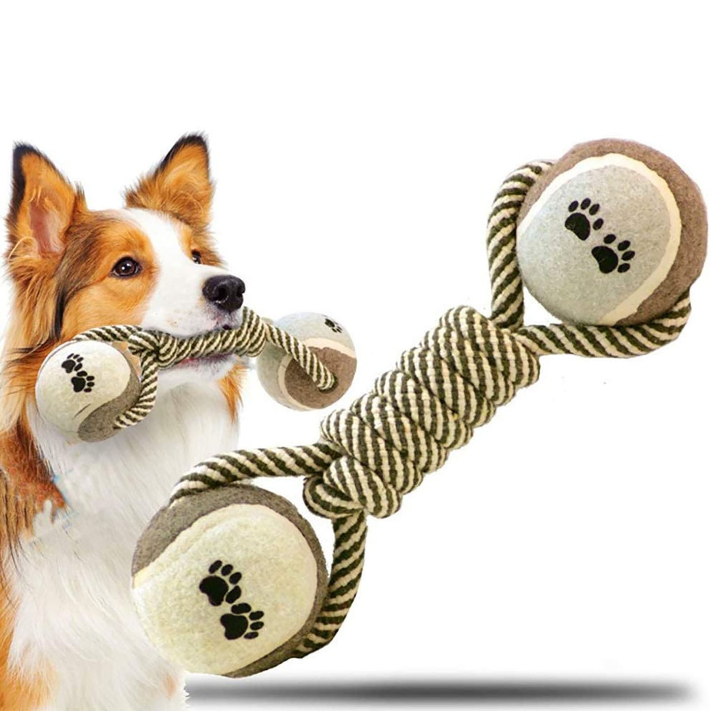 Dog playing with a rope toy featuring paw prints on a white background