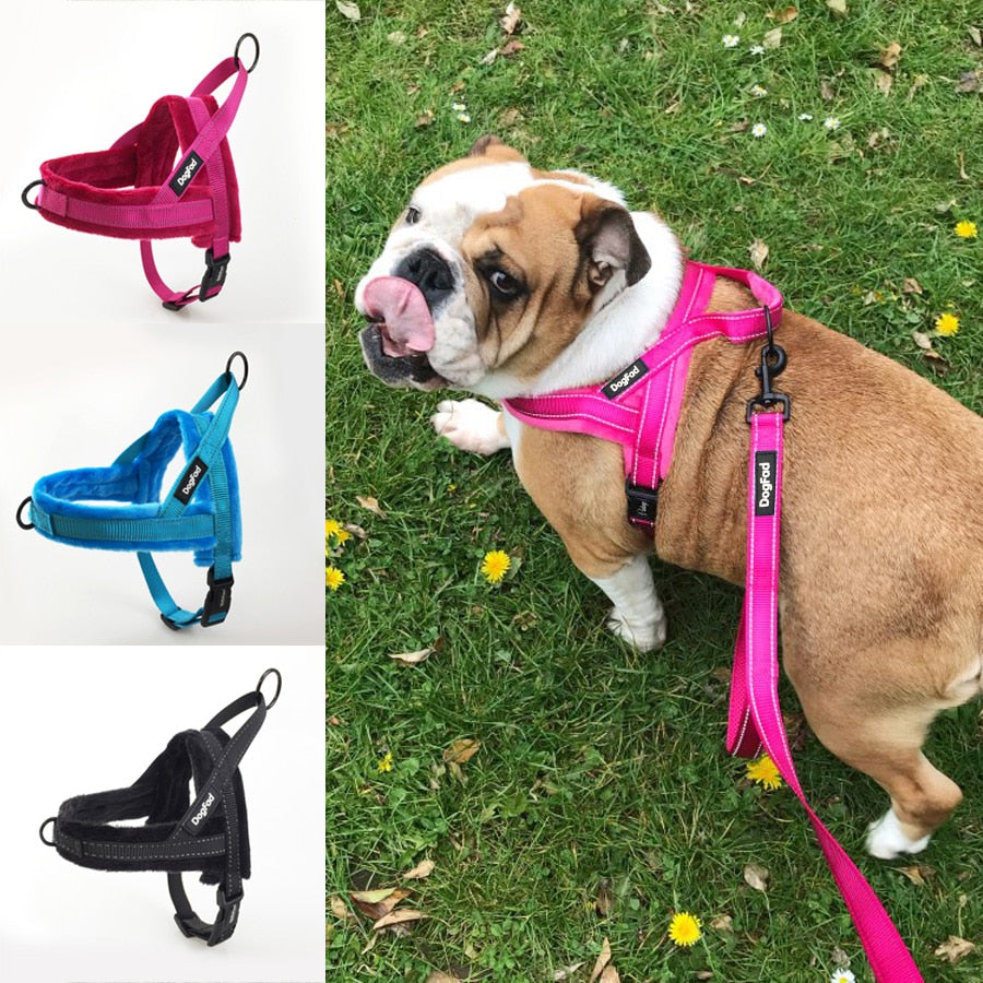 Dog wearing a pink harness on grass with additional harnesses shown on the left.