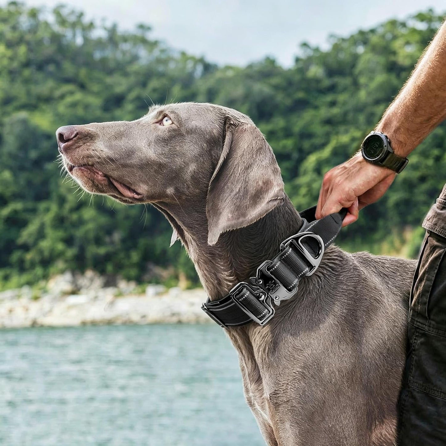 Heavy Duty Tactical Dog Collar with Handle