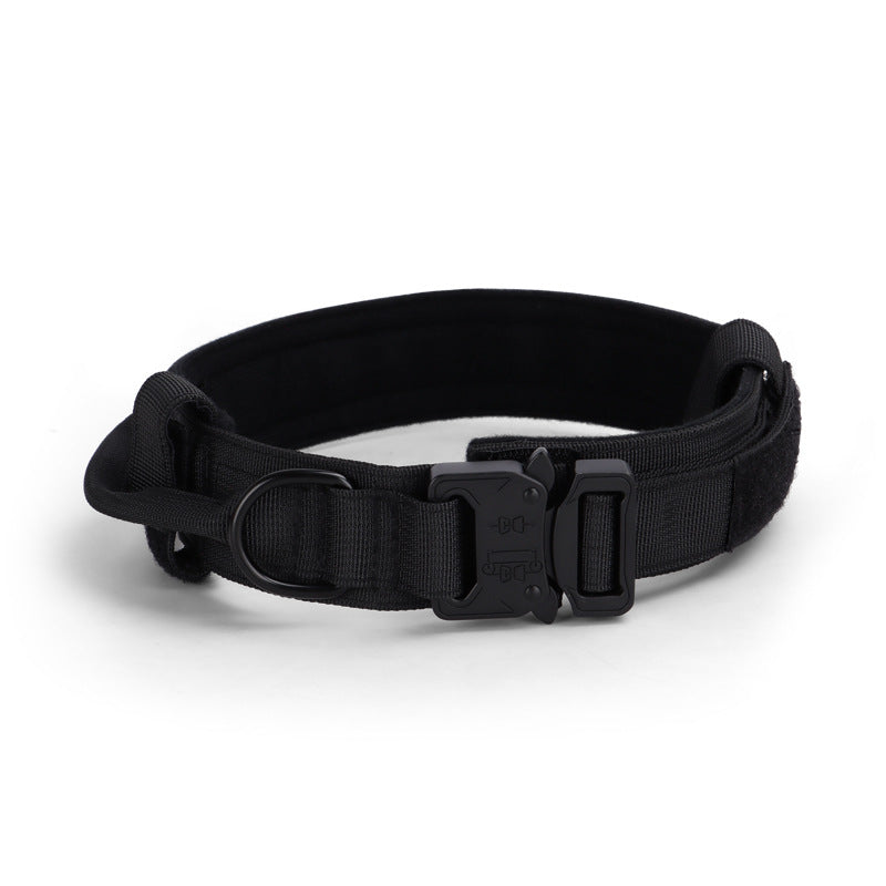 Black dog collar with a buckle on a white background