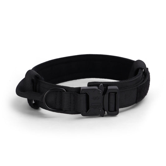 Black dog collar with a buckle on a white background