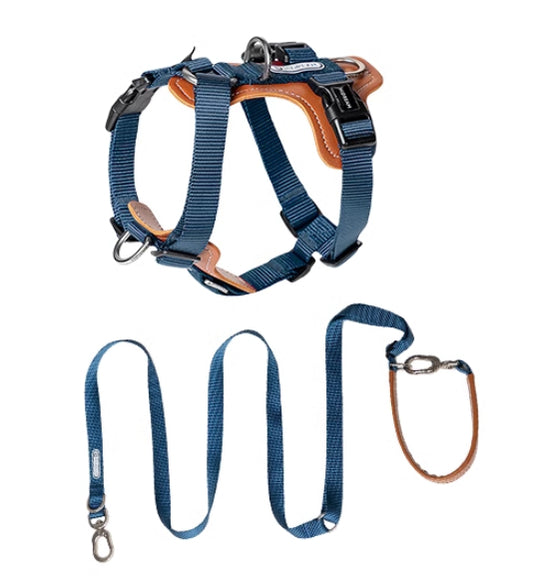 Blue dog harness and leash set on a white background