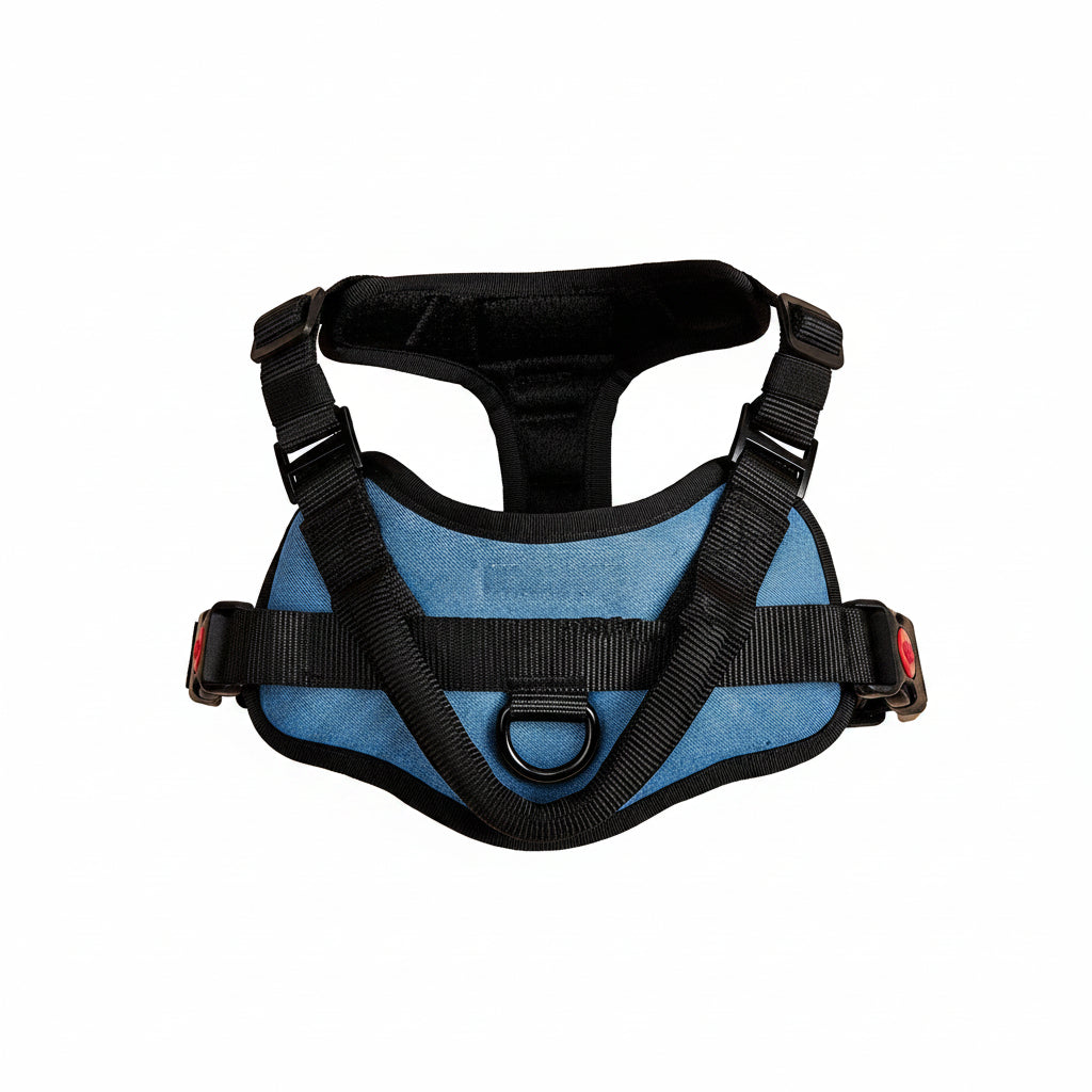 Blue dog harness with black straps on a beige background