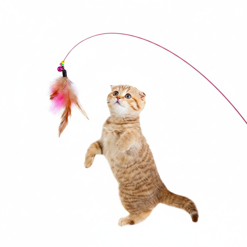 Cat playing with a colorful cat toy on a white background