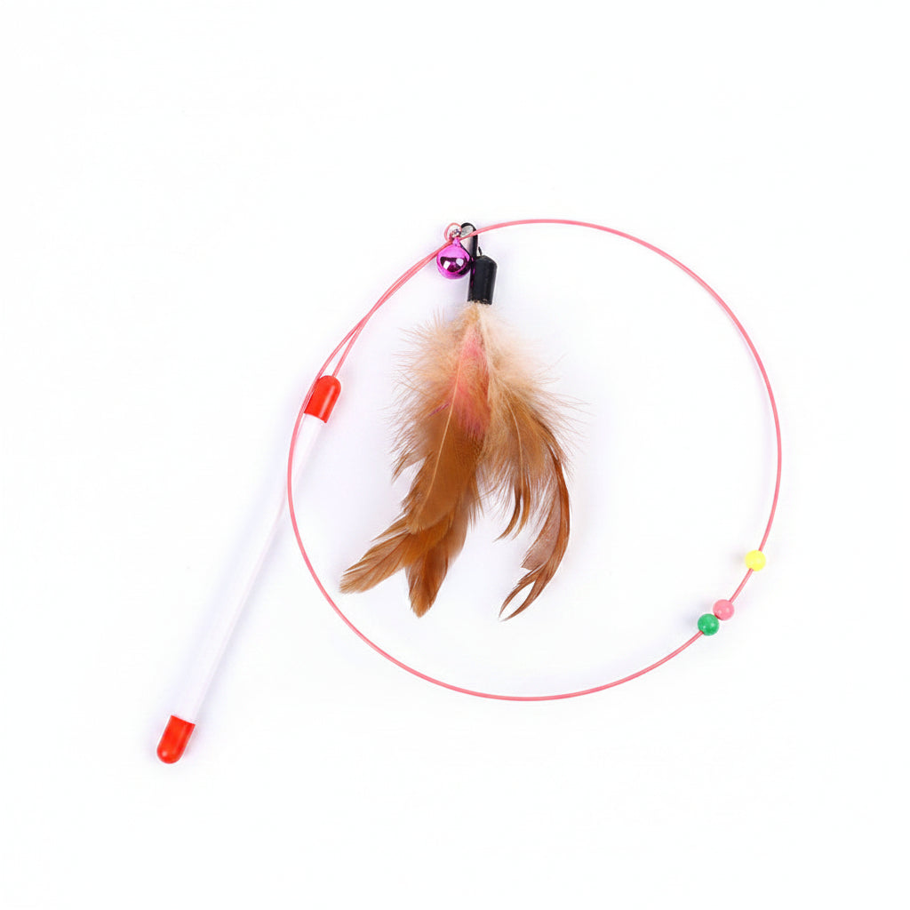Cat toy with feathers and a bell on a blue background