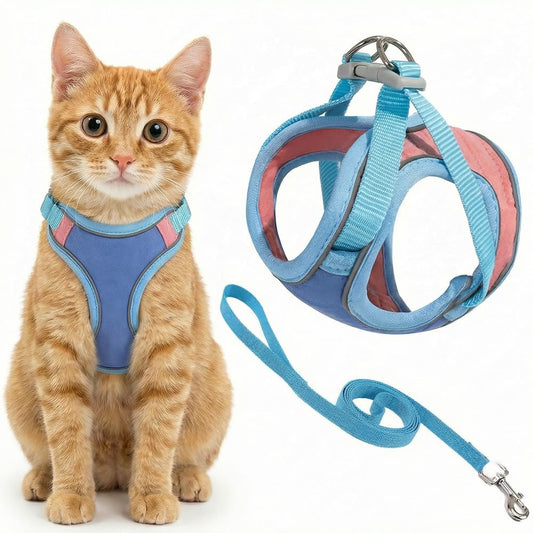 Cat wearing a blue harness and leash set on a white background