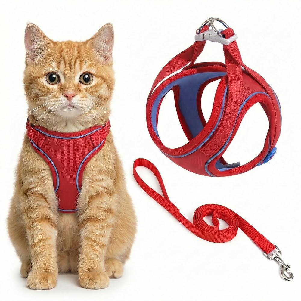 Cat wearing a red harness and leash set on a white background