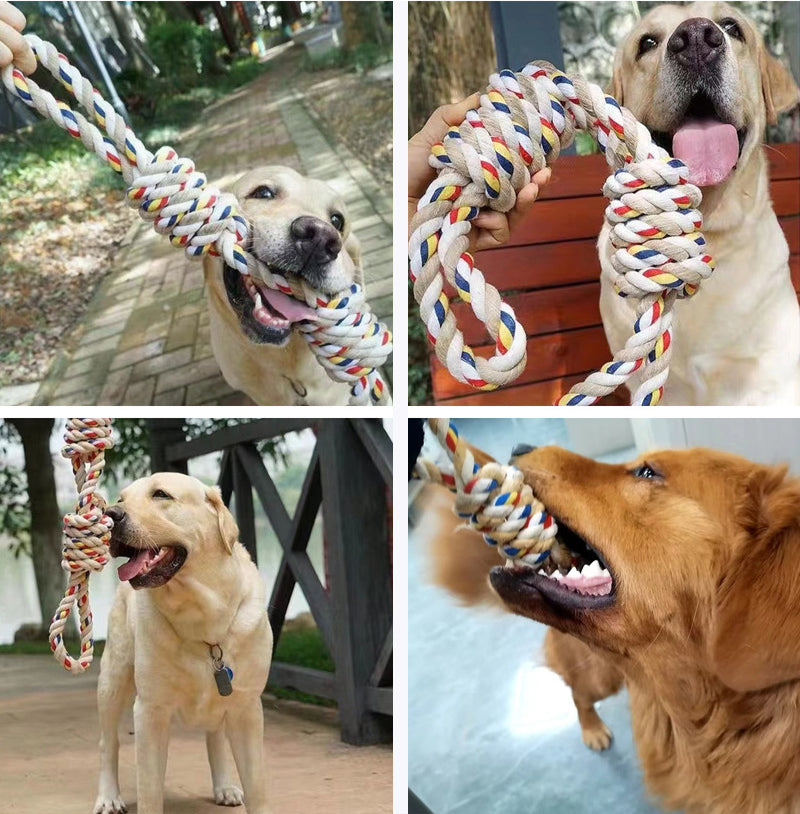 Collage of dogs playing with a colorful rope toy in various settings.