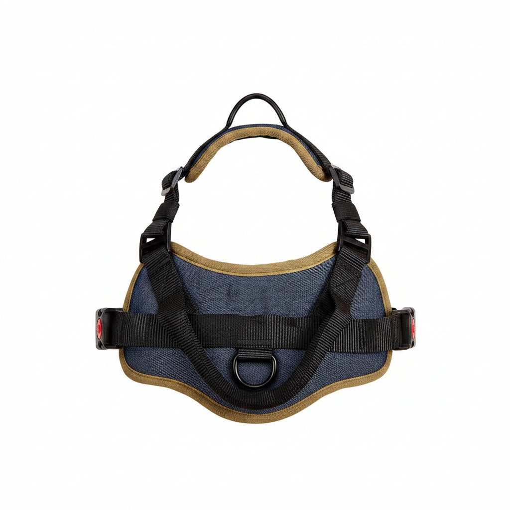 Dog harness on a beige background