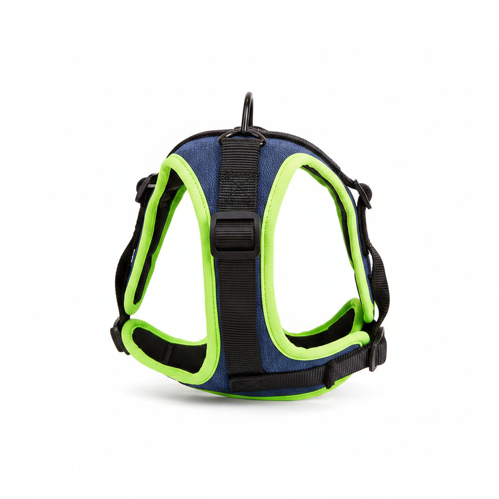 Dog harness with blue and green design on a beige background