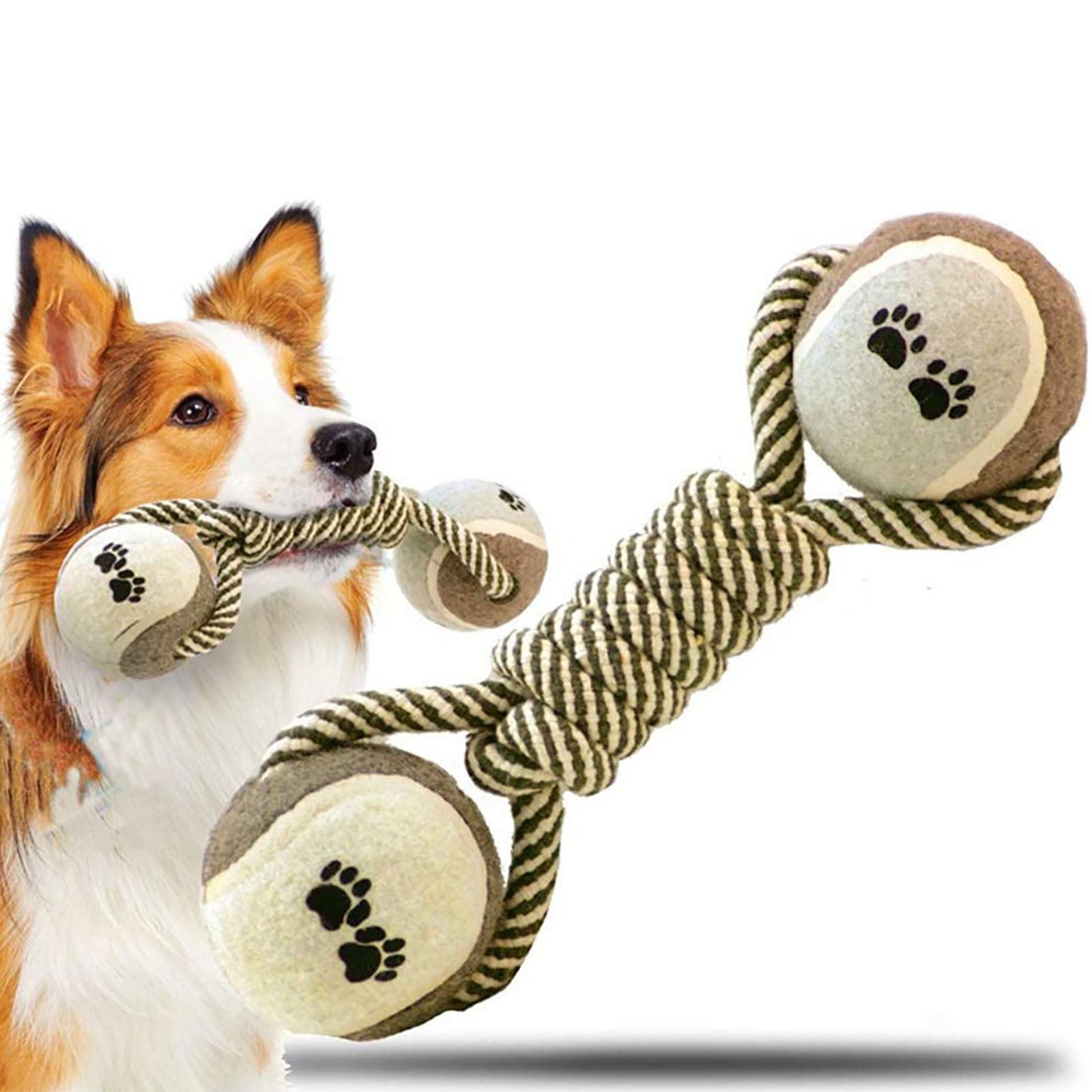 Dog playing with a rope toy featuring paw prints on a white background