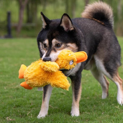 Dog playing with a yellow duck toy on grass