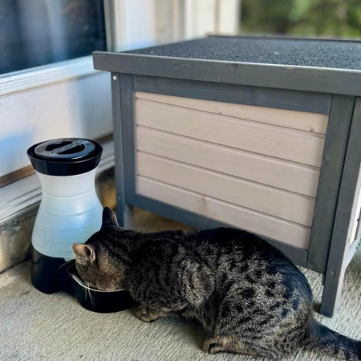 A dark tabby cat drinks from a black and white pet waterer next to a gray and beige storage box on a porch.