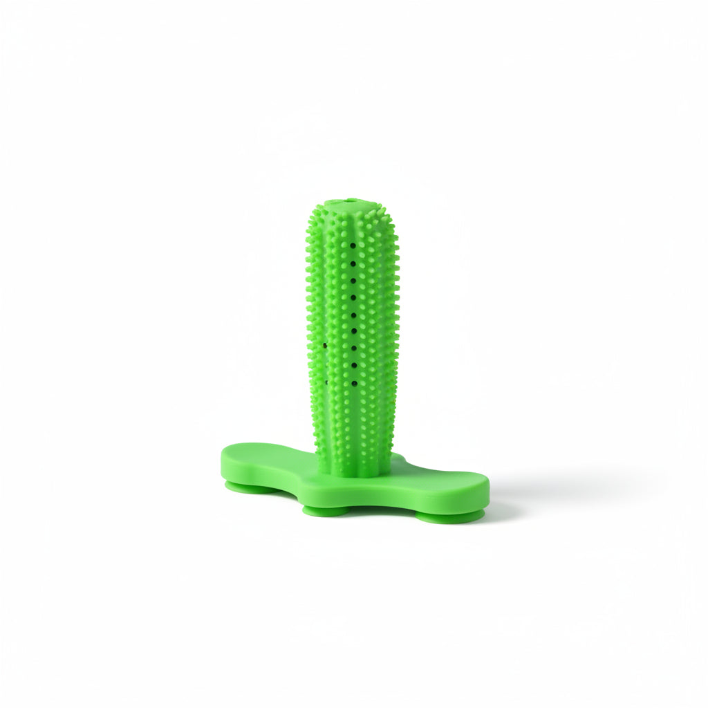 Green textured object on a pink surface with a light blue background