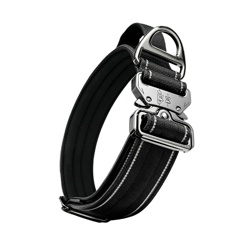 Dog Collars