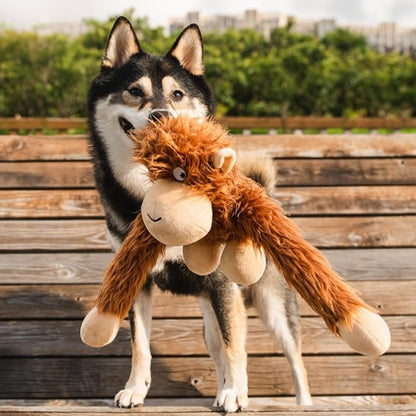 A black and white Shiba Inu dog holding a plush monkey toy in its mouth, standing on a wooden deck with a blurred outdoor background.