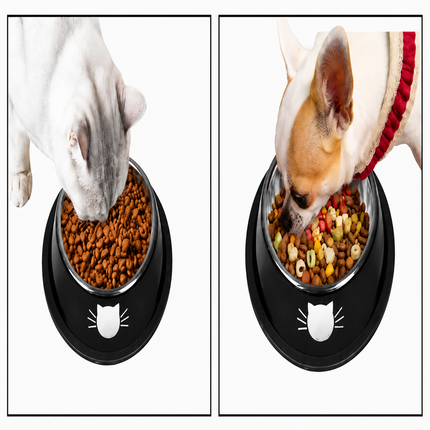 Non-Slip Pet Feeding Bowl with Rubber Base