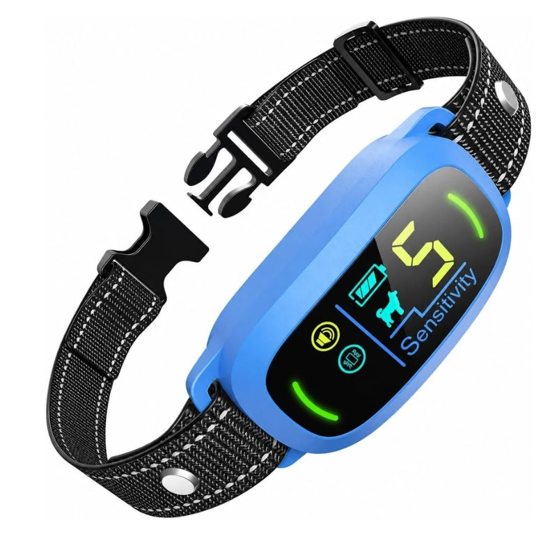 Blue electronic pet collar with a black display screen and adjustable black nylon strap with white stitching, shown on a white background.