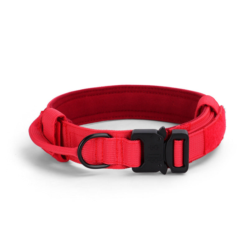 Red dog collar with a black buckle on a white background