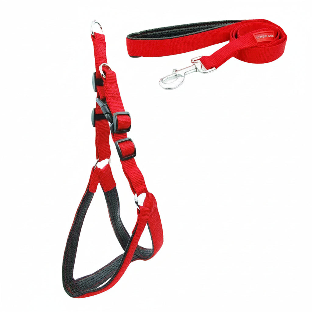 Red dog harness and leash set on a white background
