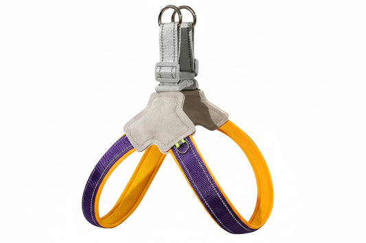 Safety harness quick link with purple and yellow straps on a white background