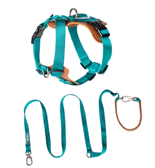 Teal dog harness and leash set on a white background